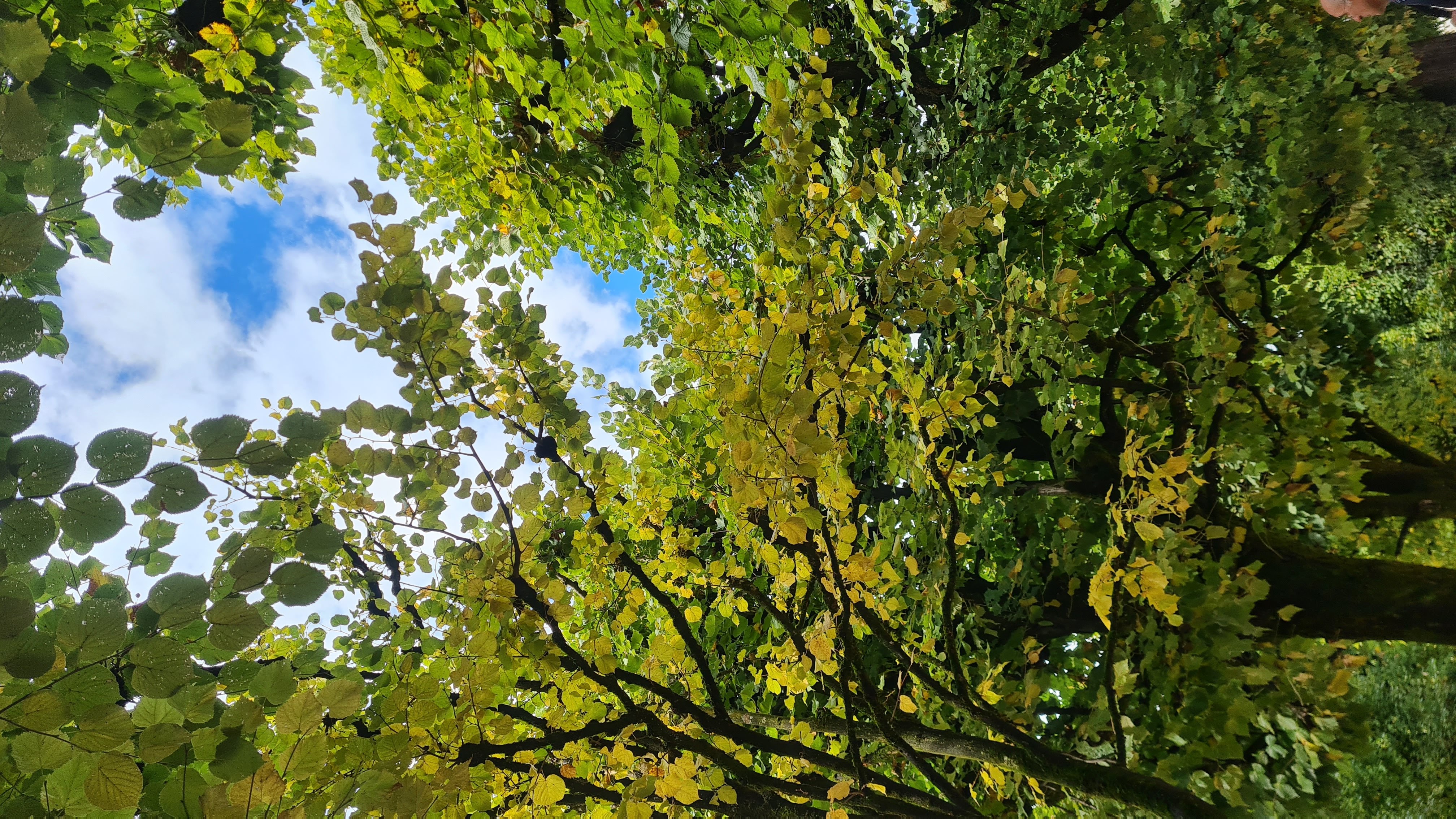 20220926_134604.jpg