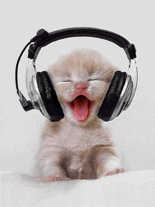 A white kitten with large headphones on its ears, with its head moving back and forth