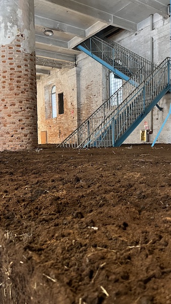 77. Art of tote bags, or, Venetian Stares