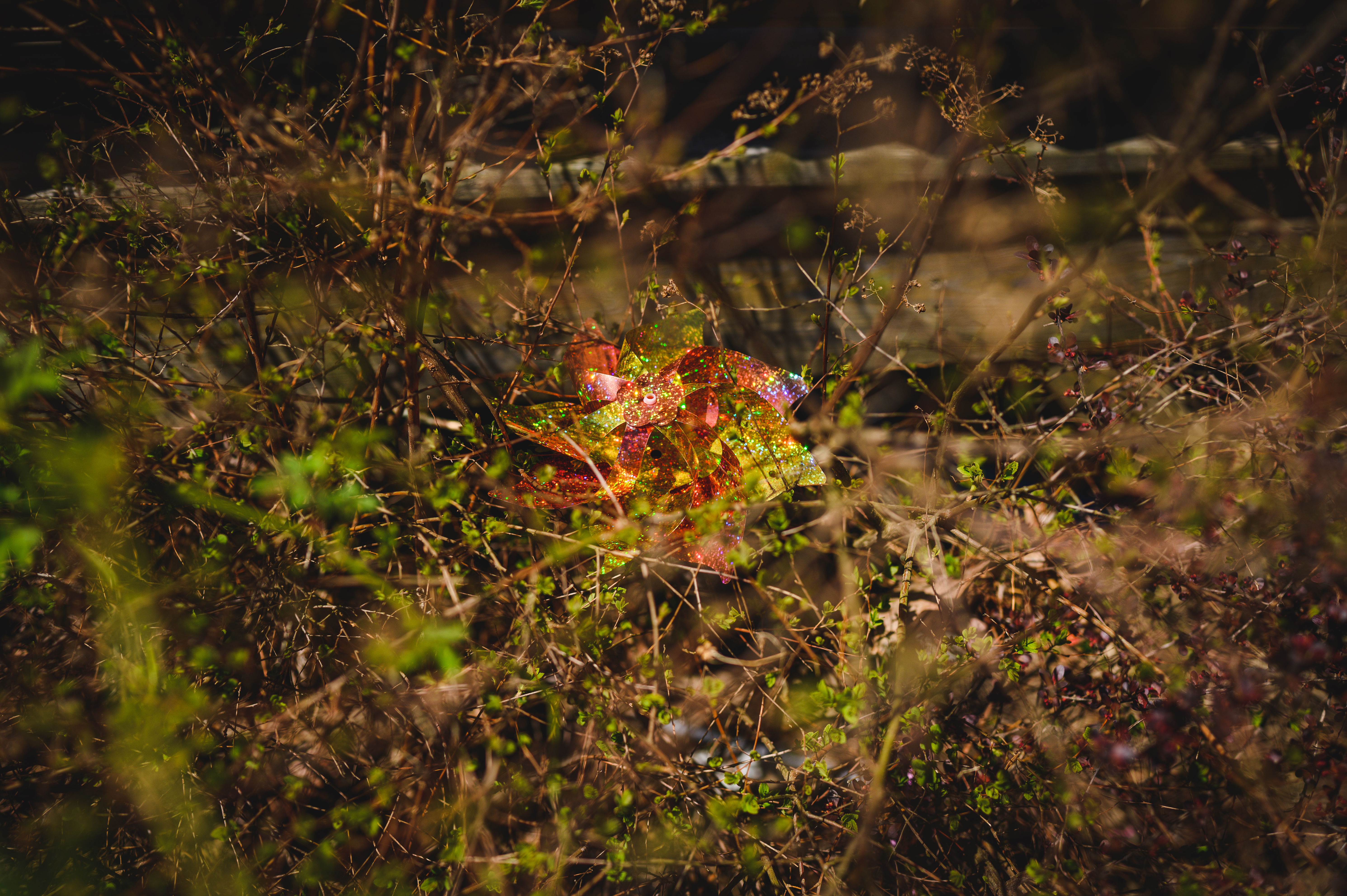 20220501-personal58.jpg
