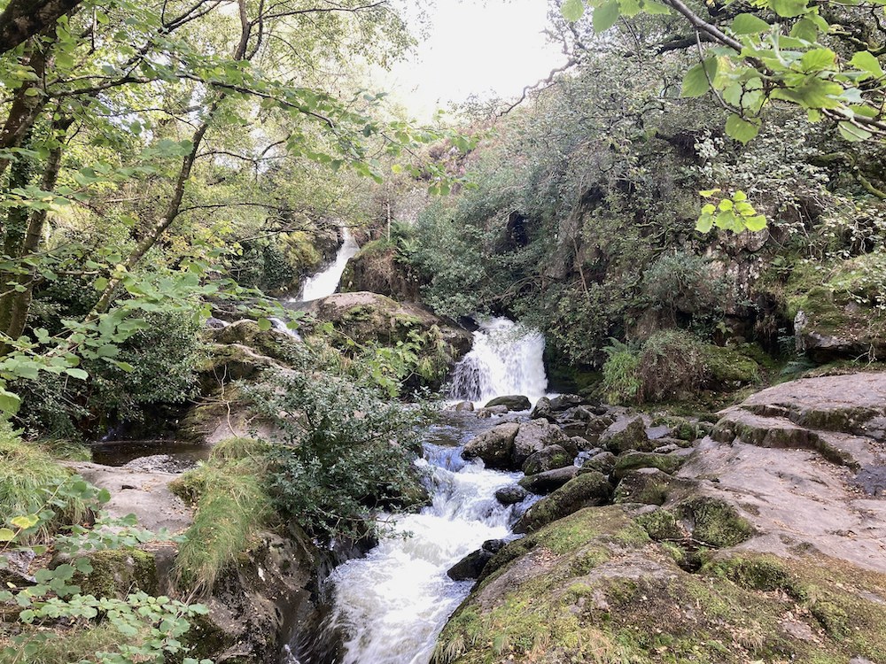 Dolgoch-Falls-upper.JPG