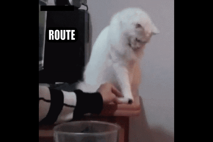 gata-cat-routing.gif