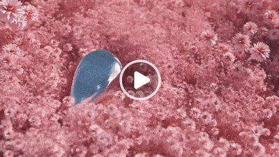 short MEA product video