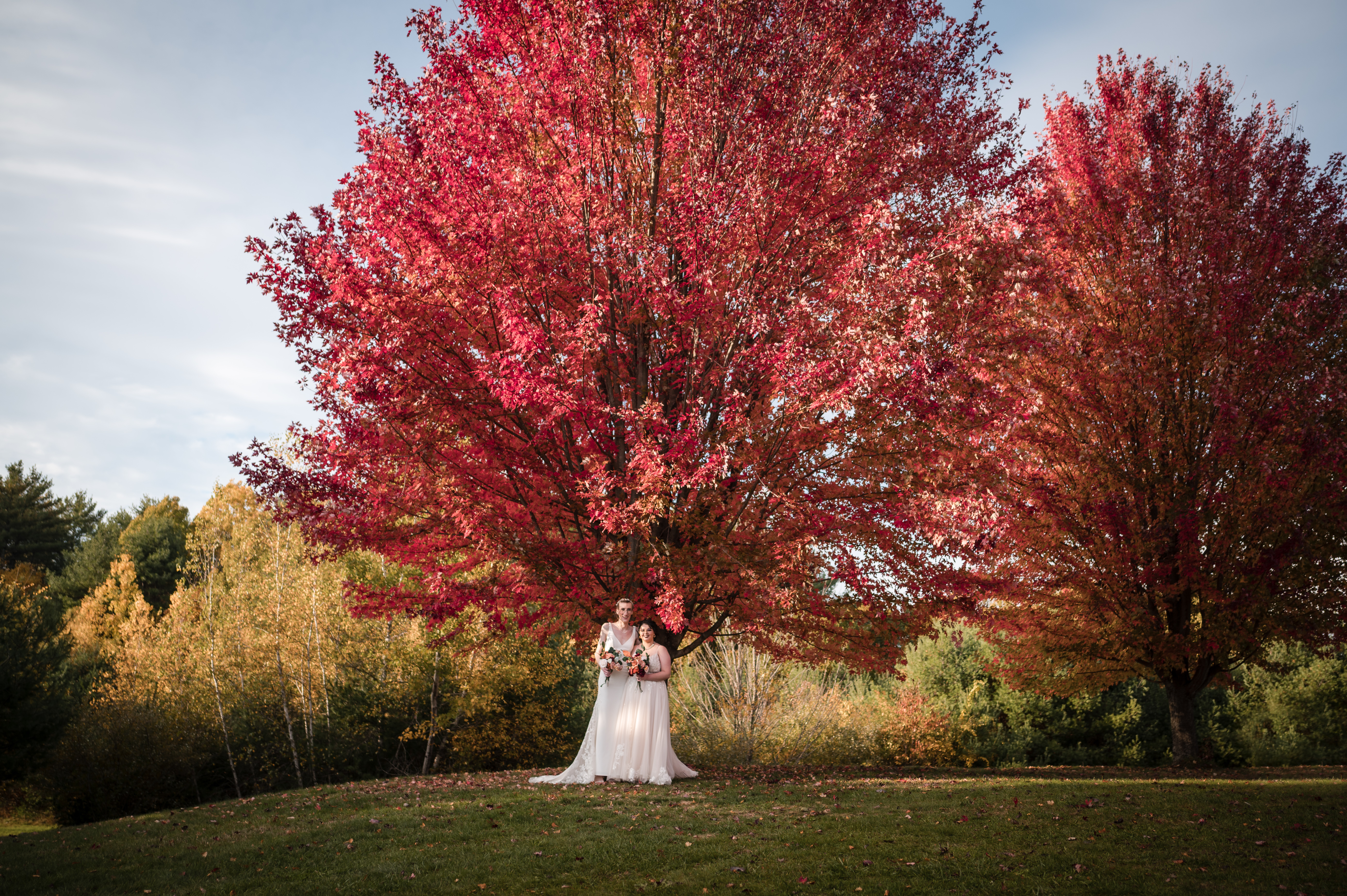 20221016-Belana+Willow5.jpg