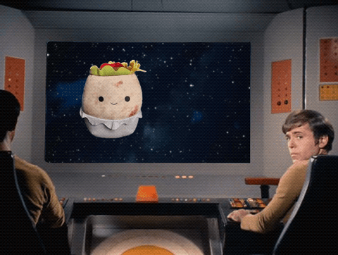 gif of a burrito on the star trek screen