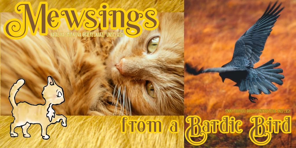 Mewsings from a Bardic Bird Banner.twitter-ad-sponsored-tweet.jpg