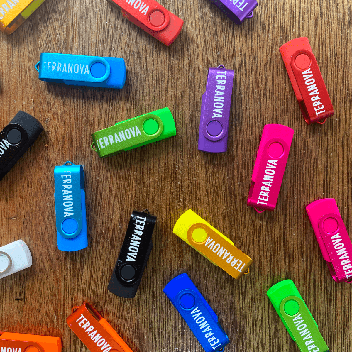 A series of colorful Terranova USB keys on a wood paneling.
