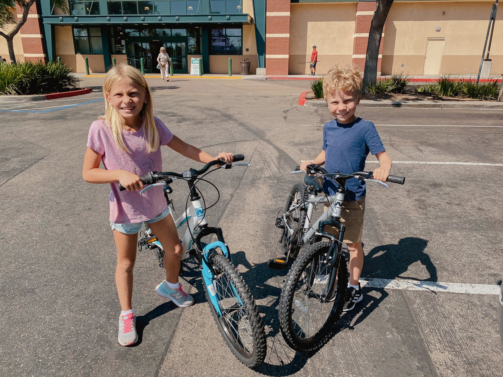 Gear bikes.jpg
