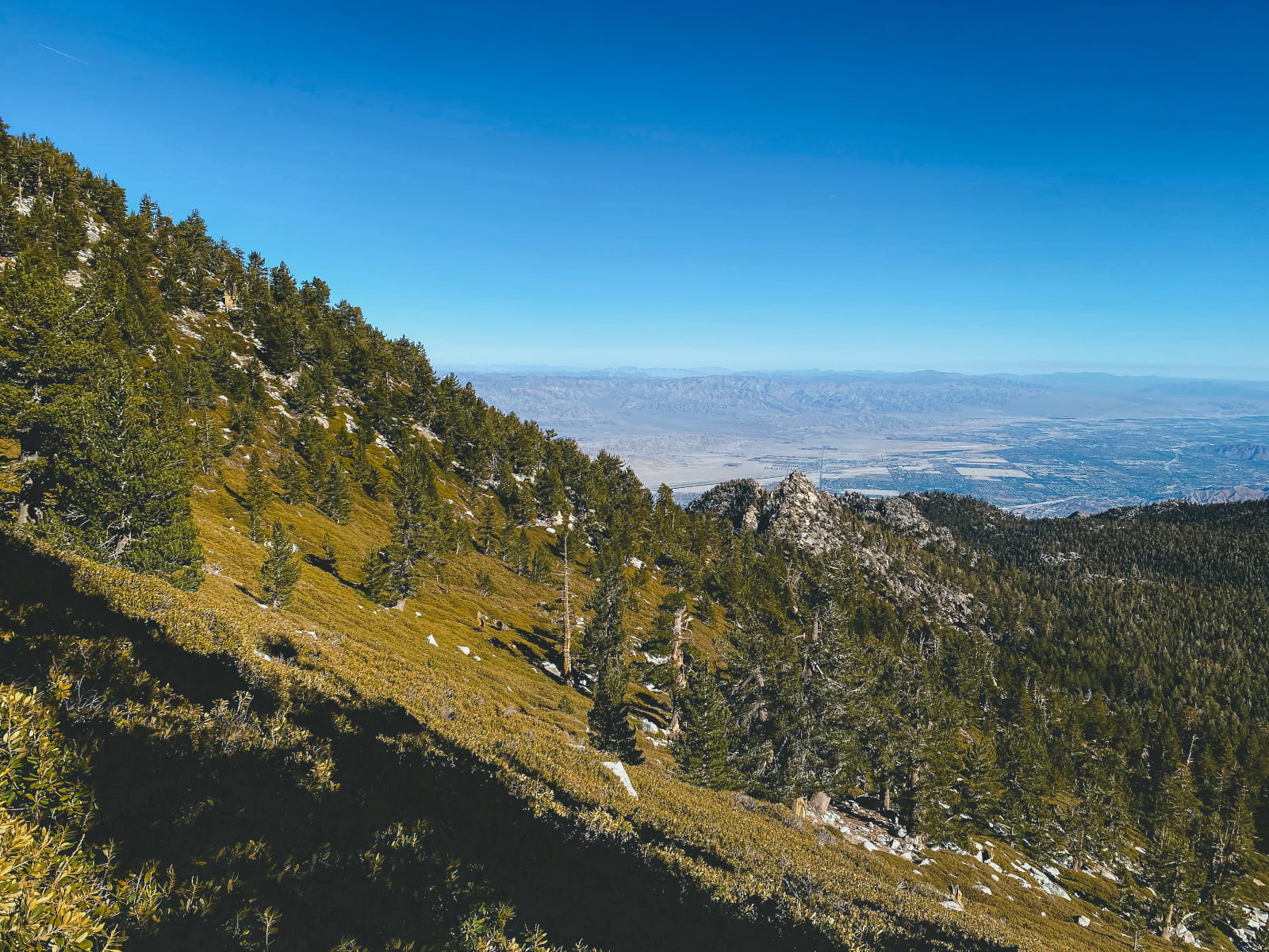 coachella-valley.jpg