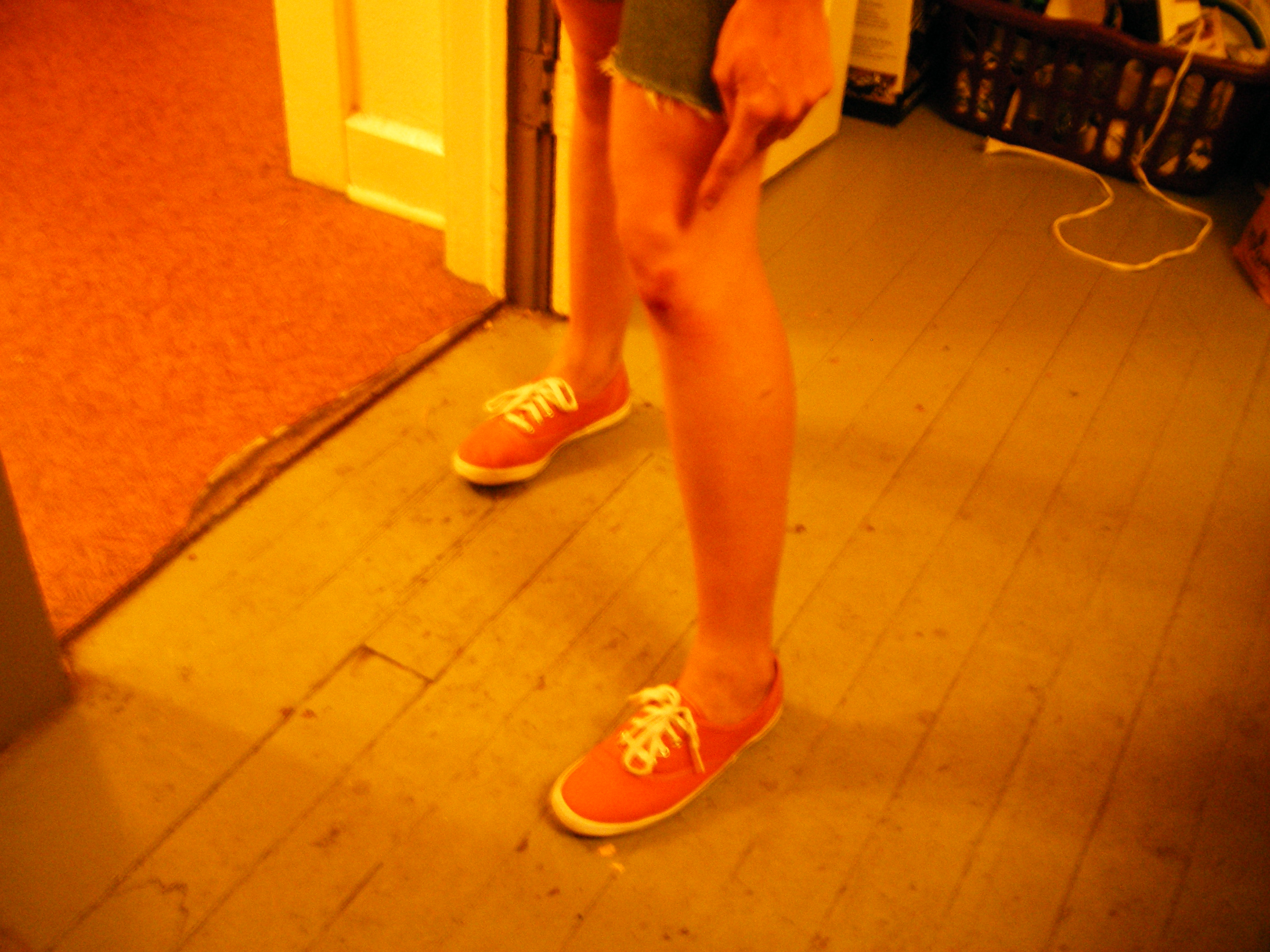 178200660_b0fb548600_o.JPG