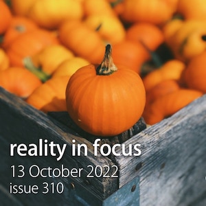 Pumpkins in a box: Reality in Focus issue 310
