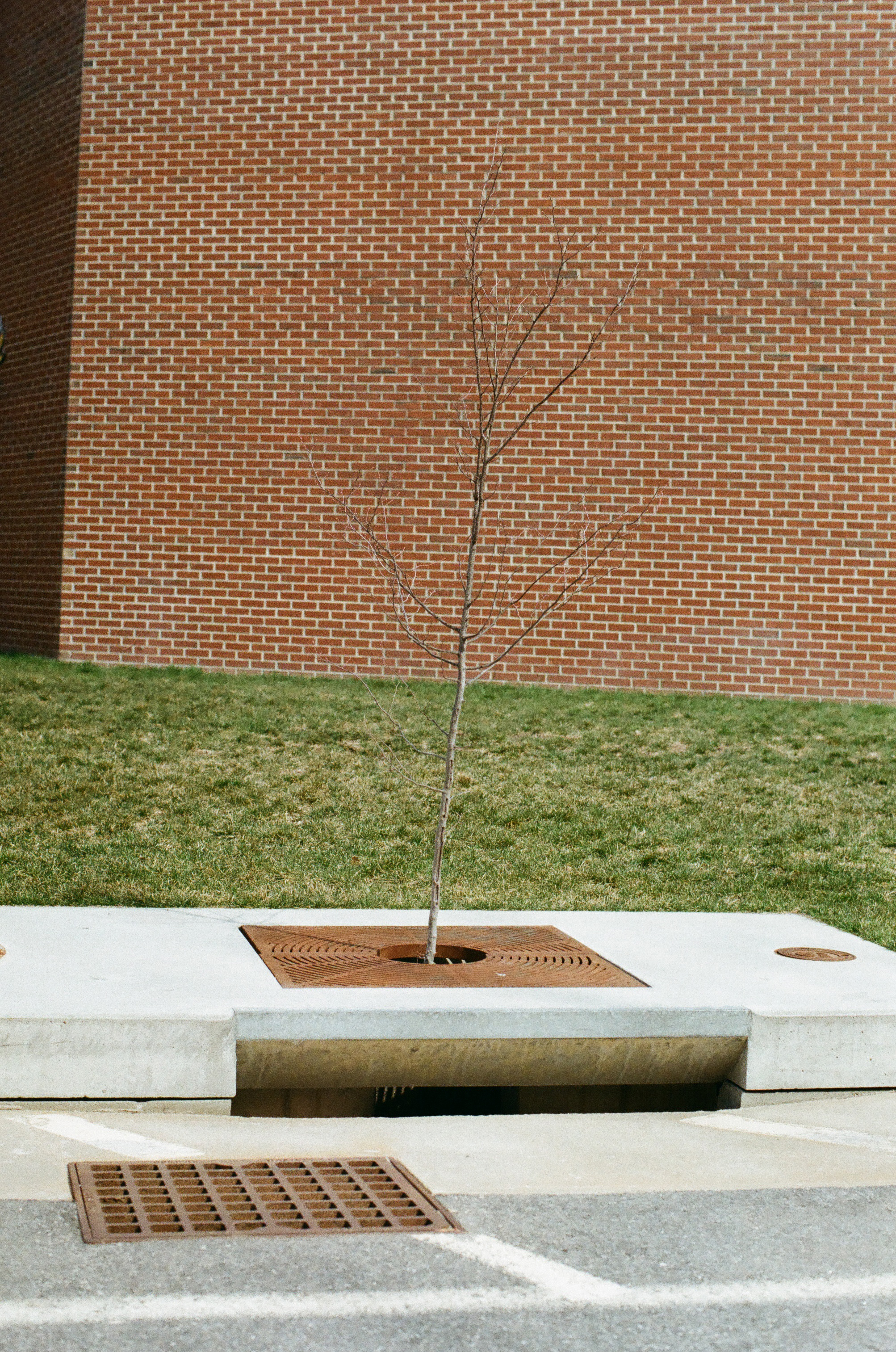 757603120008_7.jpg