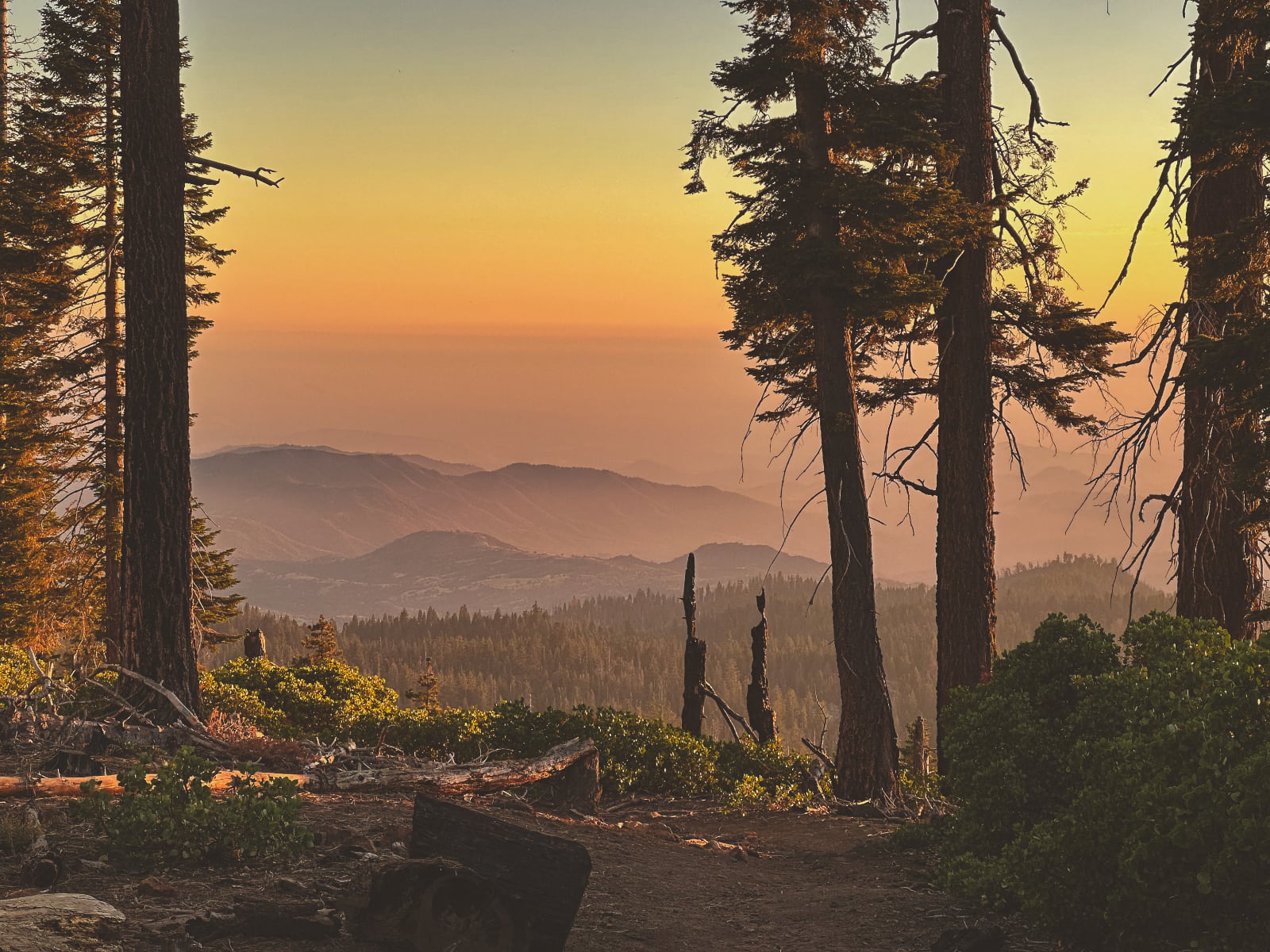 hike.jpg