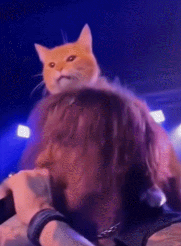 Friday on the Drummer Stream