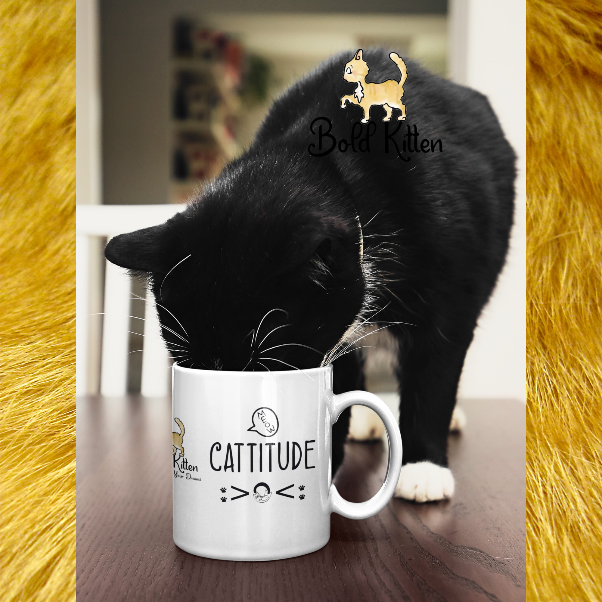 CattitudeMage-RockoLower.ebay-photo.jpg