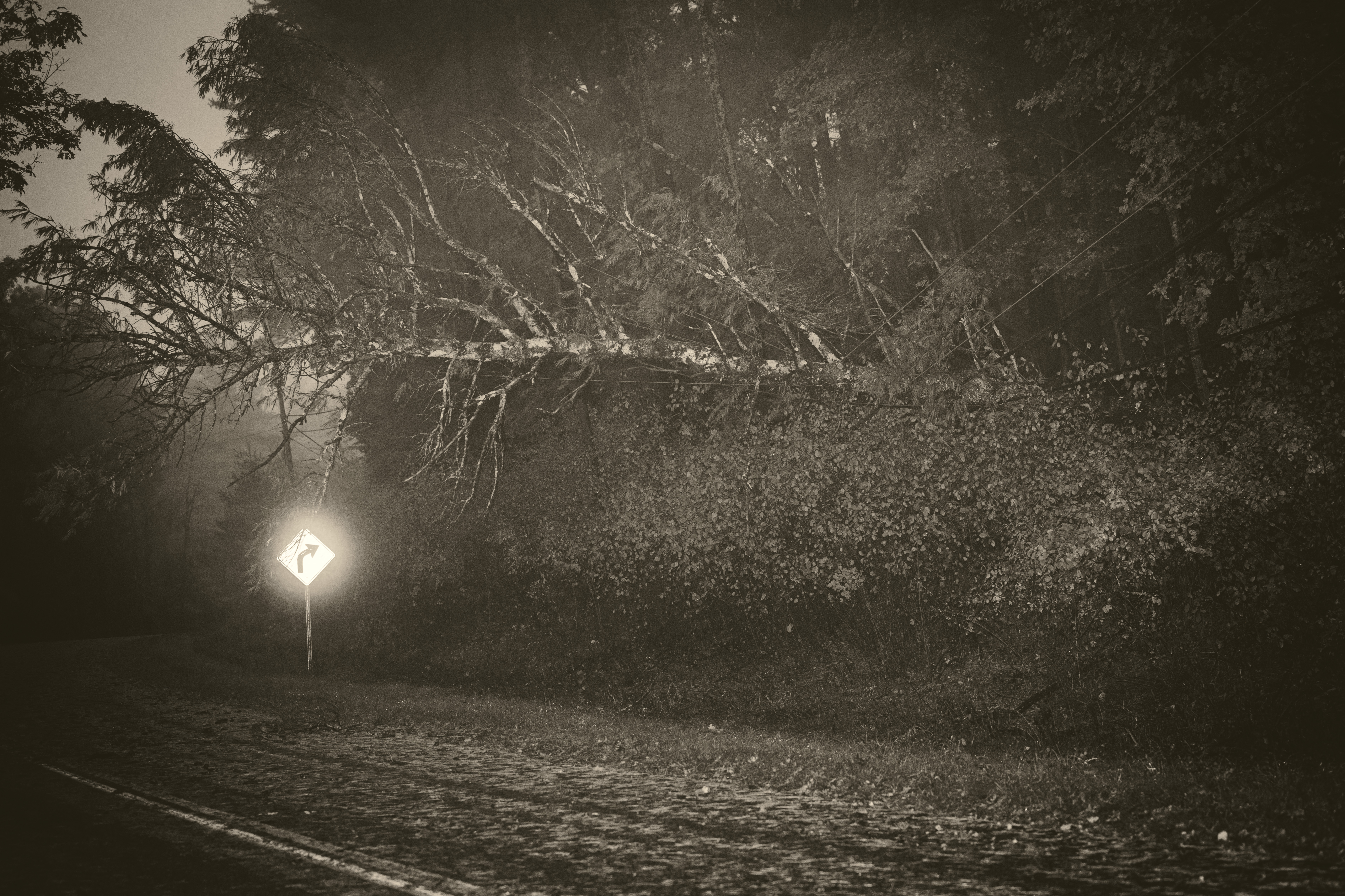 20221014-personal3-2.jpg