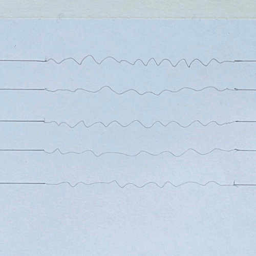 animation of five lines that get louder