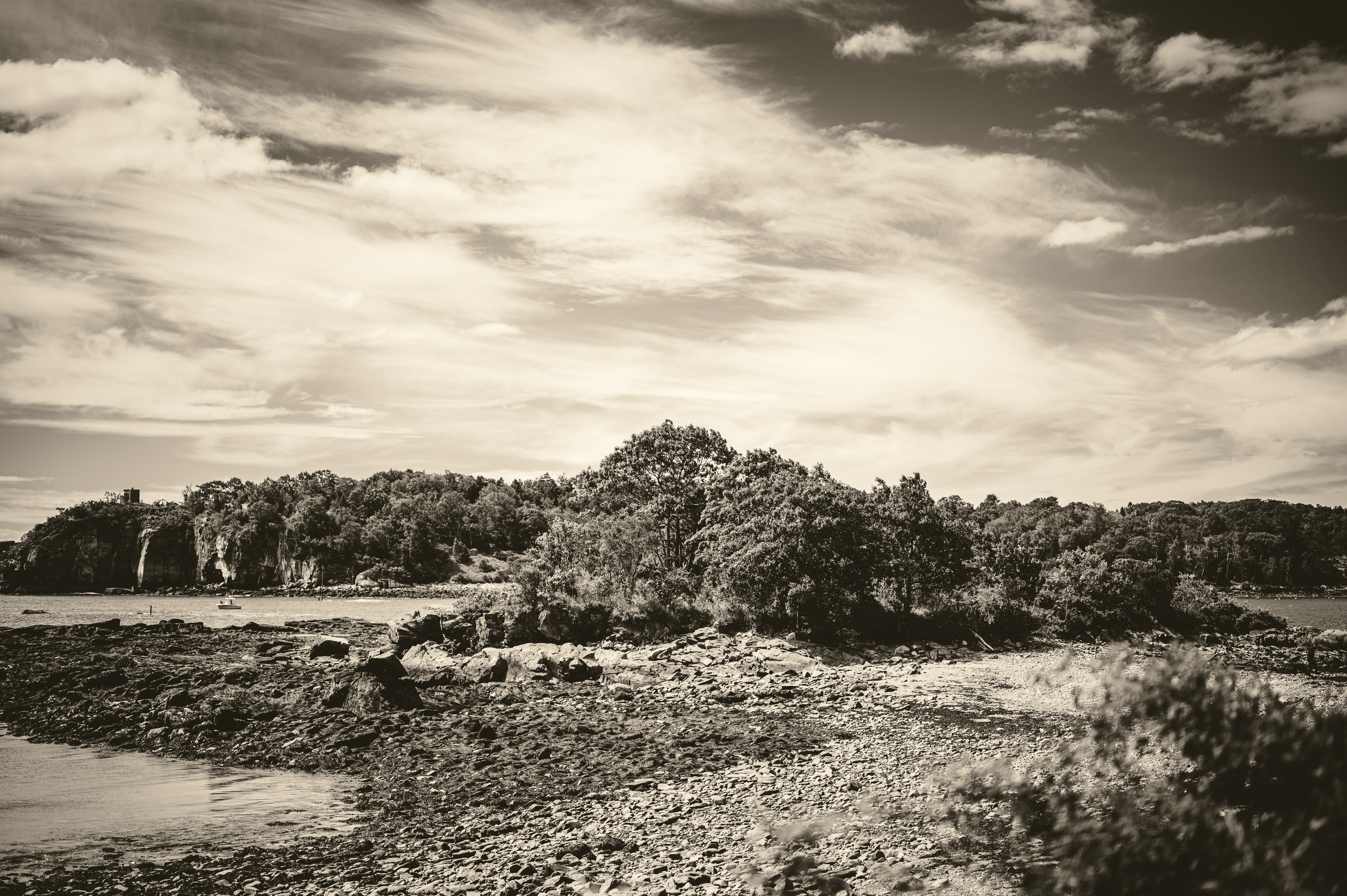 20220618-personal14.jpg