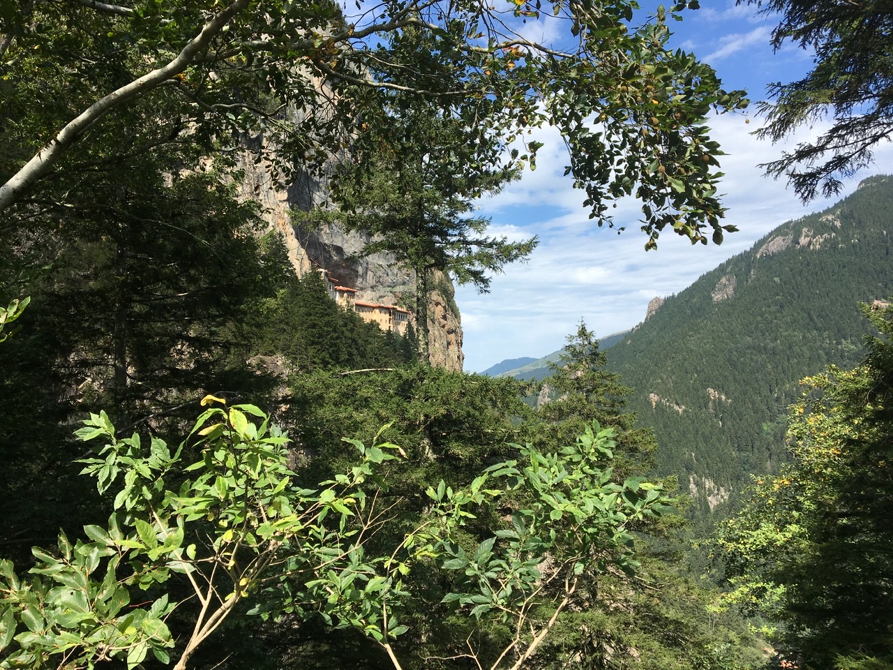 5E41439F-697E-4738-99A0-F5D08CFA8BDF.jpeg