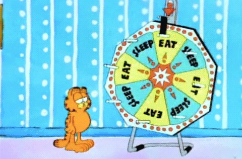 An orange cartoon cat (Garfield) spinning a wheel with the two options of eat and sleep.