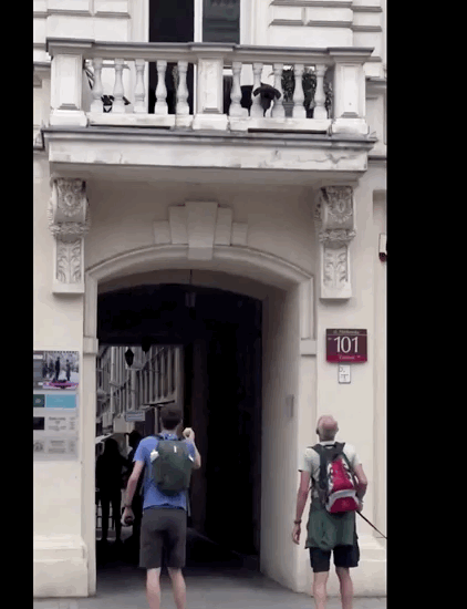A man on the street throws a ball to a dog that is one story up on a balcony.