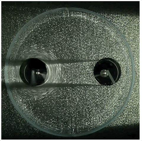 An animated gif of two black circular cylinders, seen from above, standing in a liquid that is filled with tons of tiny bubbles. The cylinder on the left spins rapidly clockwise, and this swirls the bubbles around it. The other cylinder, pushed around by the bubbles, is slowly rotating counterclockwise