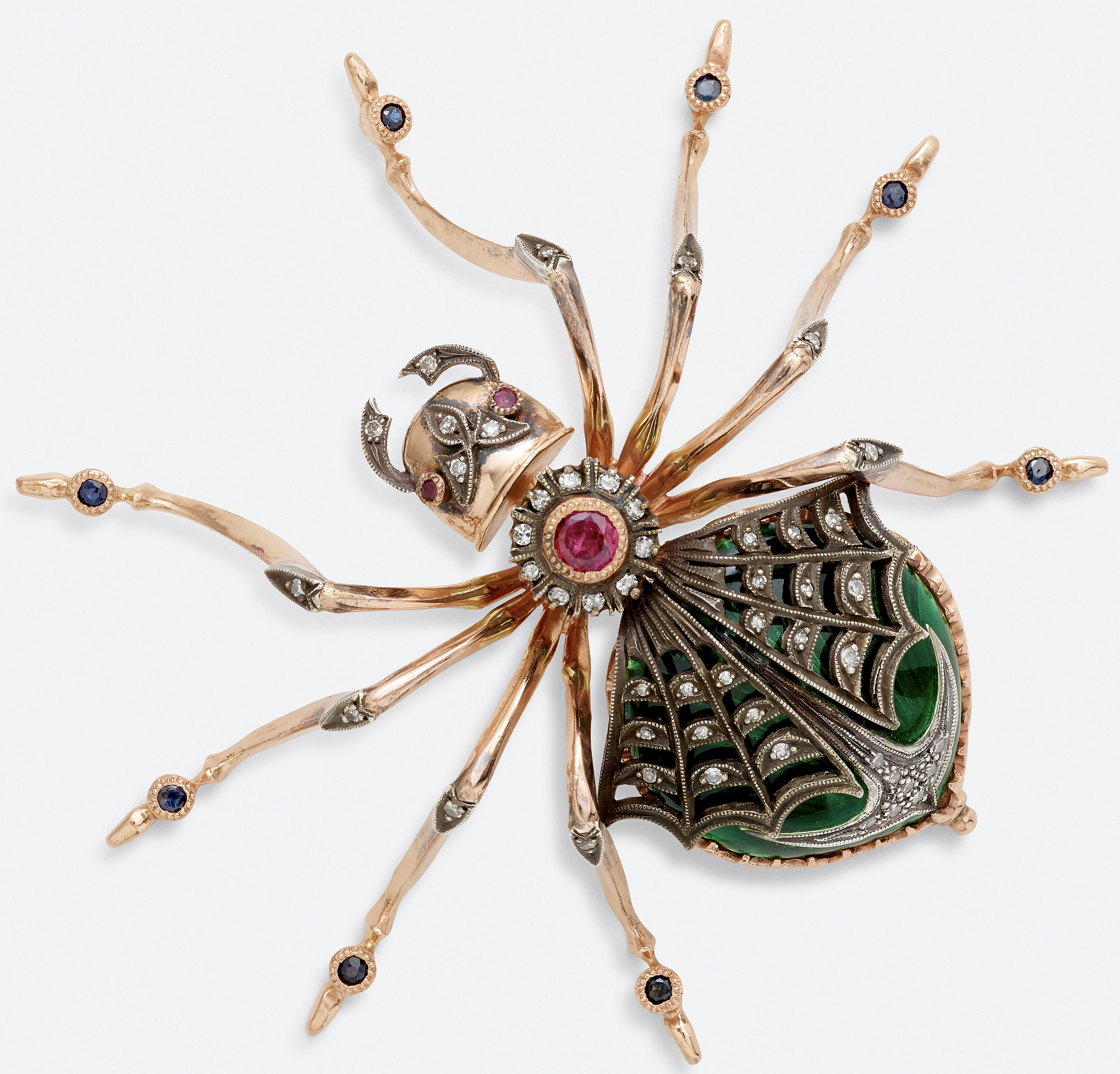 spider.jpg