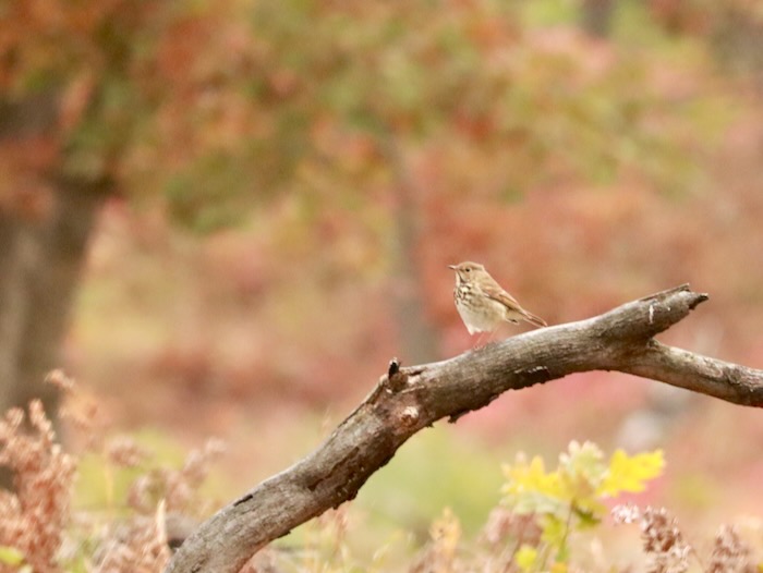 I'm writing another book!