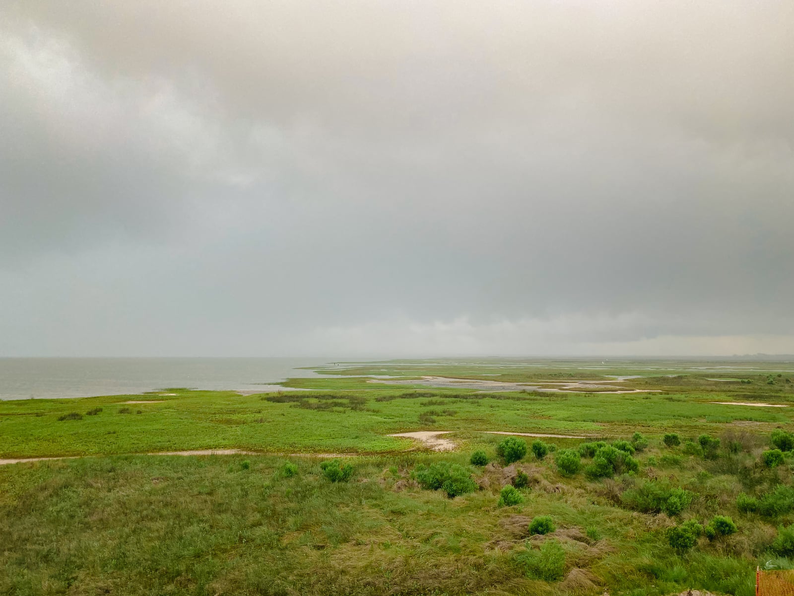 estuary.jpg