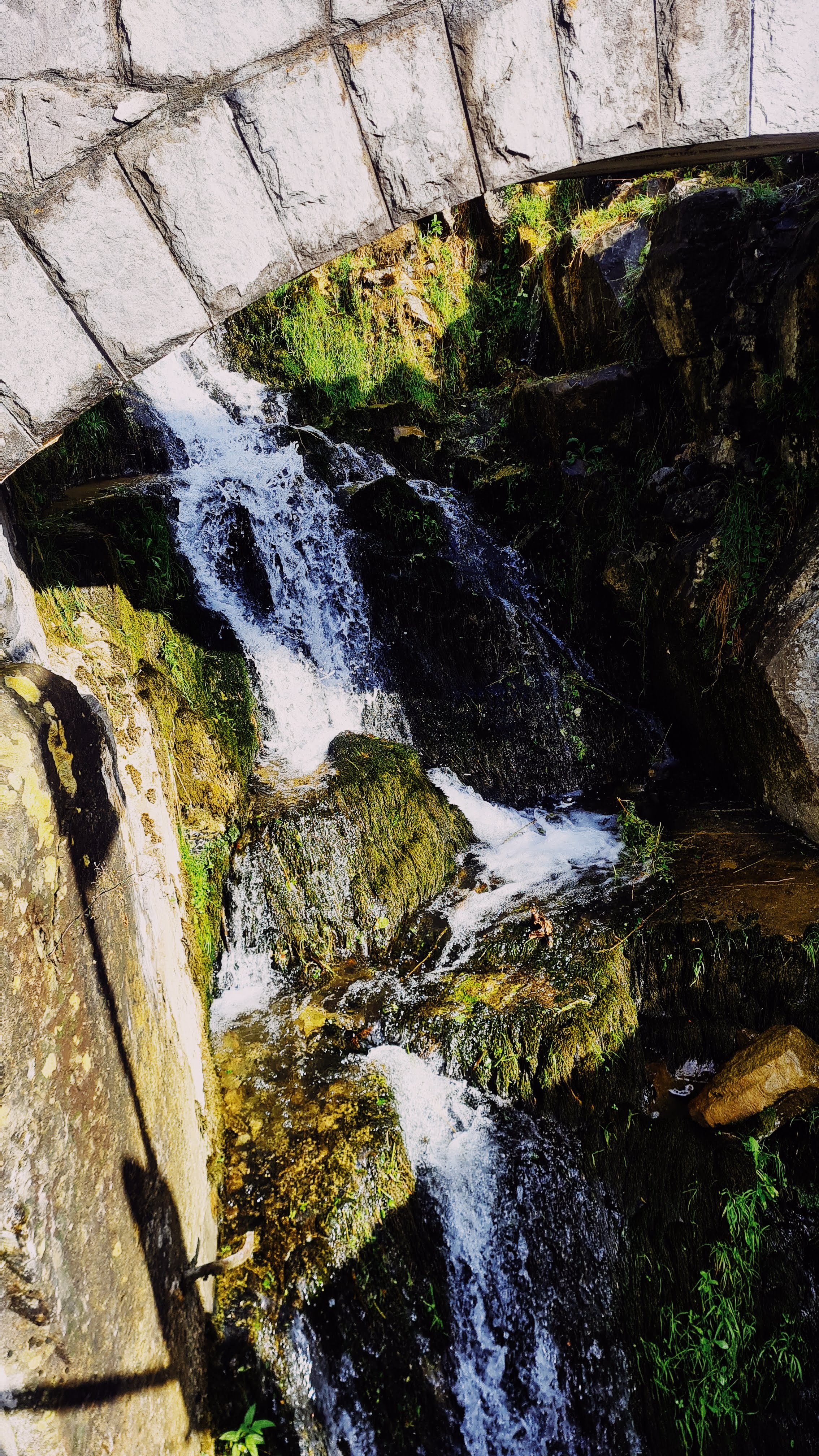 20220917_103106.jpg