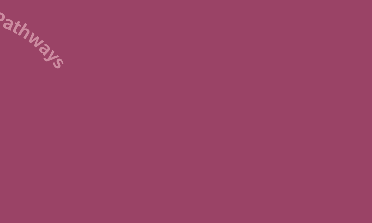 Februrary 14+15, 2026 - Pathways to Community Safety - Planning for Abolition - wheretohere.com/planning-for-aboliton