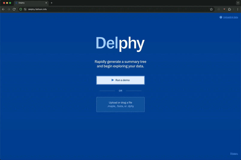 Video showing the loader page of Delphy: the user selects a file, and the application automatically shifts to the run page. The user hits a play button, and Delphy starts the modeling process.