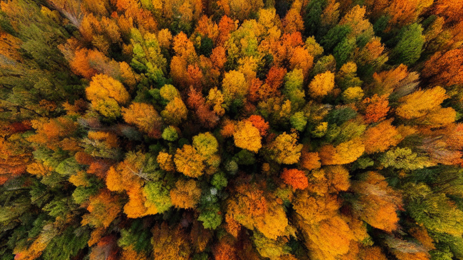 How Trying New Programming Languages Helped Me Grow as a Software Engineer
