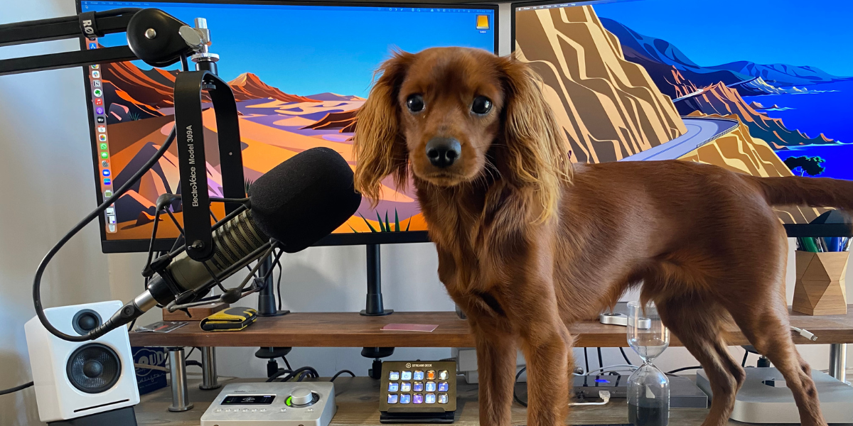 #22 A tiny robot dancing to Beyoncé