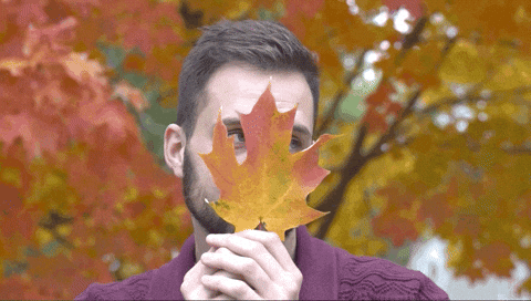 fall.gif