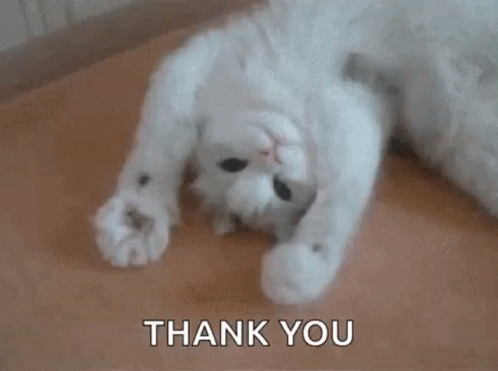 a cat laying on the floor squeezing its paws open and closed with the words THANK YOU