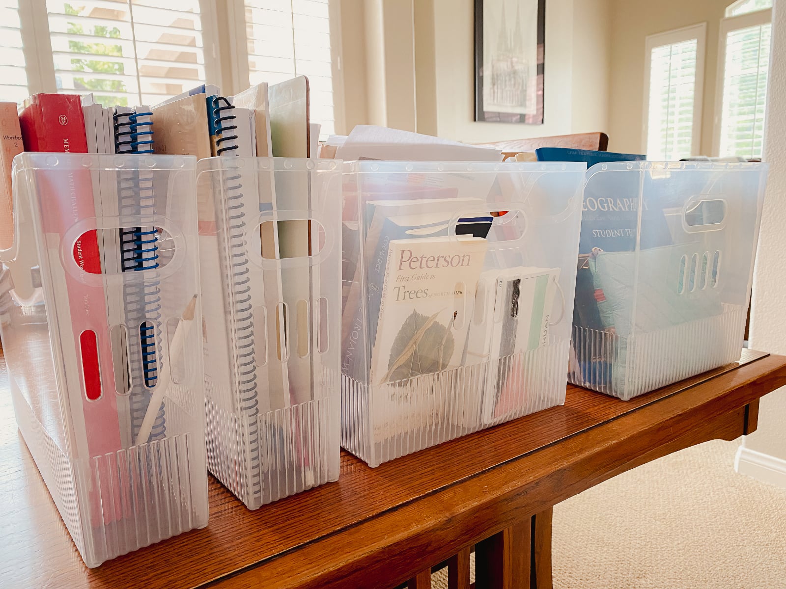 Book bins.jpg