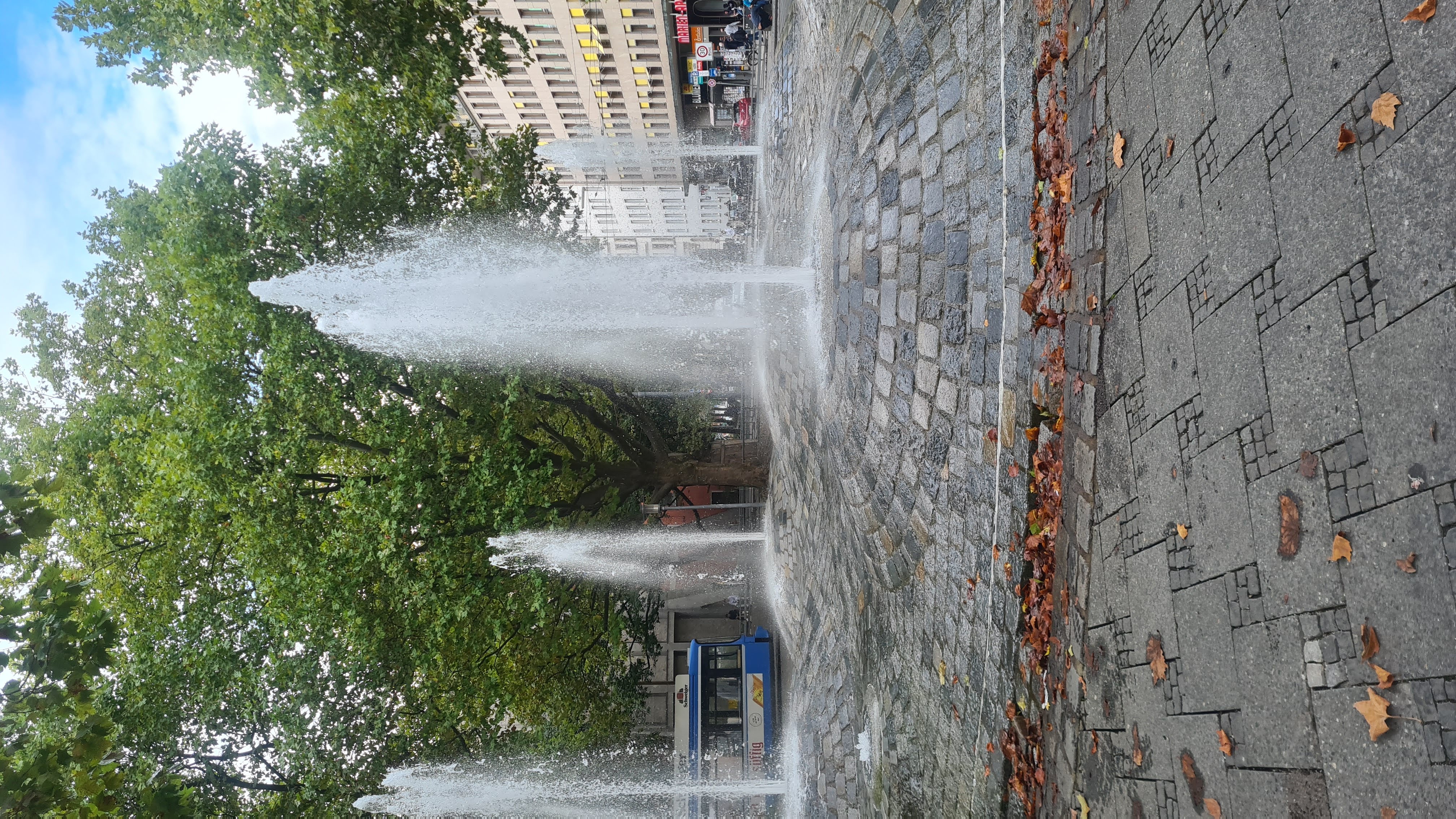 20220925_133308.jpg