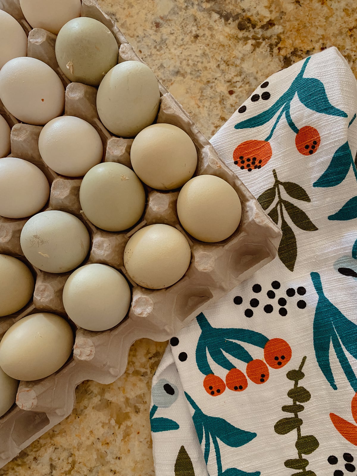 eggs.jpg