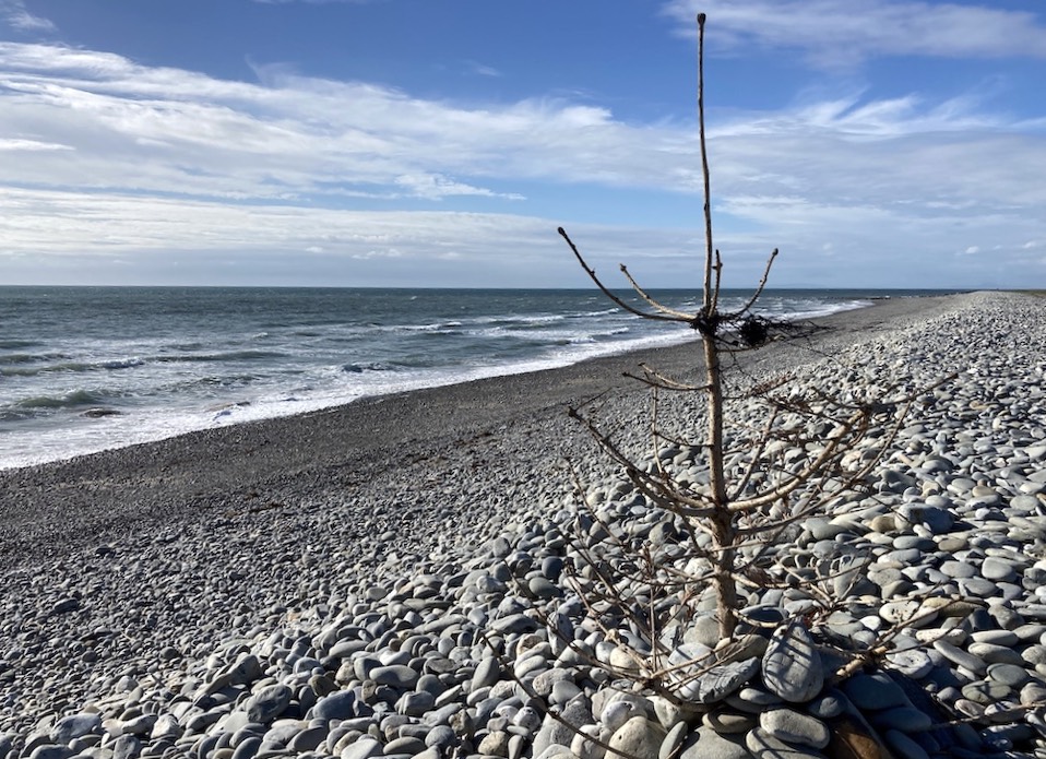 Last of the Summer Wires :: 01 – I've missed this!
