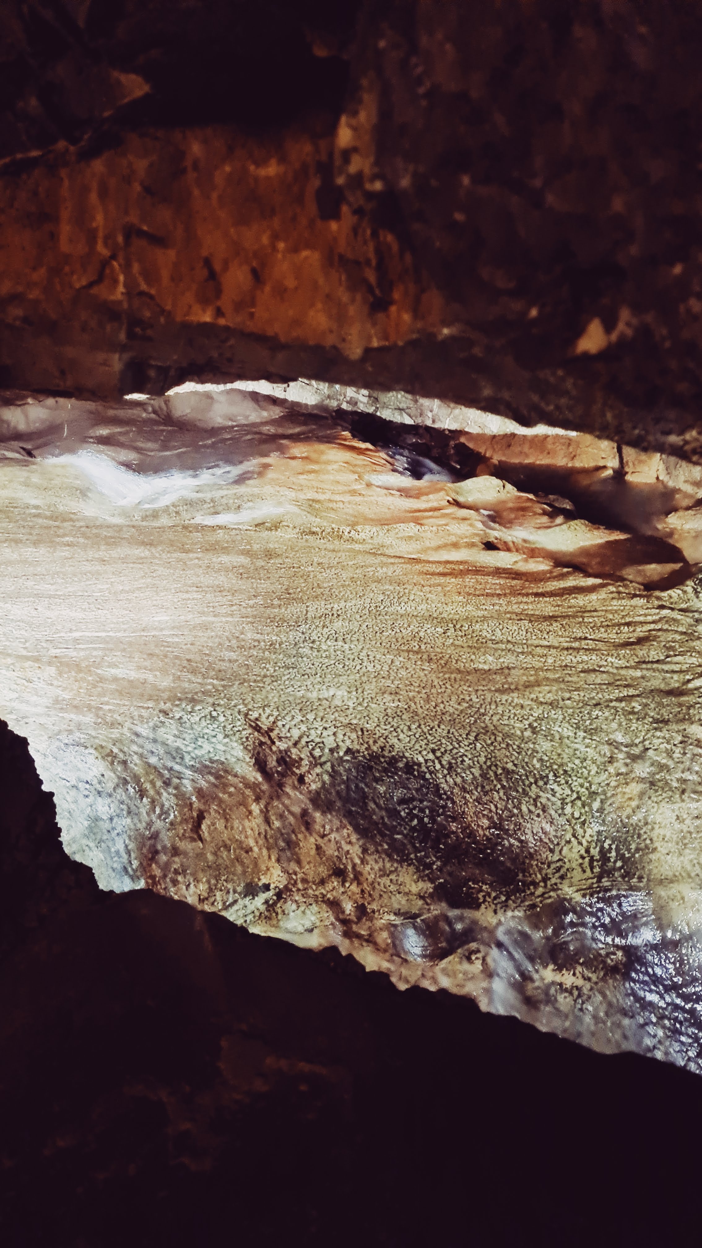 20220917_111401.jpg