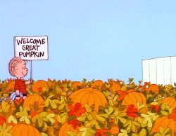 From the cartoon Peanuts, Linus carries a sign reading "Welcome Great Pumpkin" through a pumpkin patch