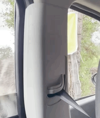A huge fluffy Alaskan malamute has jumped up on a rock next to our car and is sticking her face into our open windows to greet us and lick our hands.