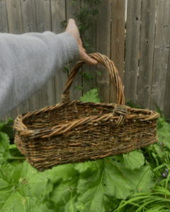 Woven willow rectangle basket with handle amoungst a garden