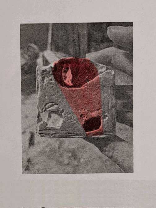 An animation of doodles drawn on images of the six sides of a bone cube