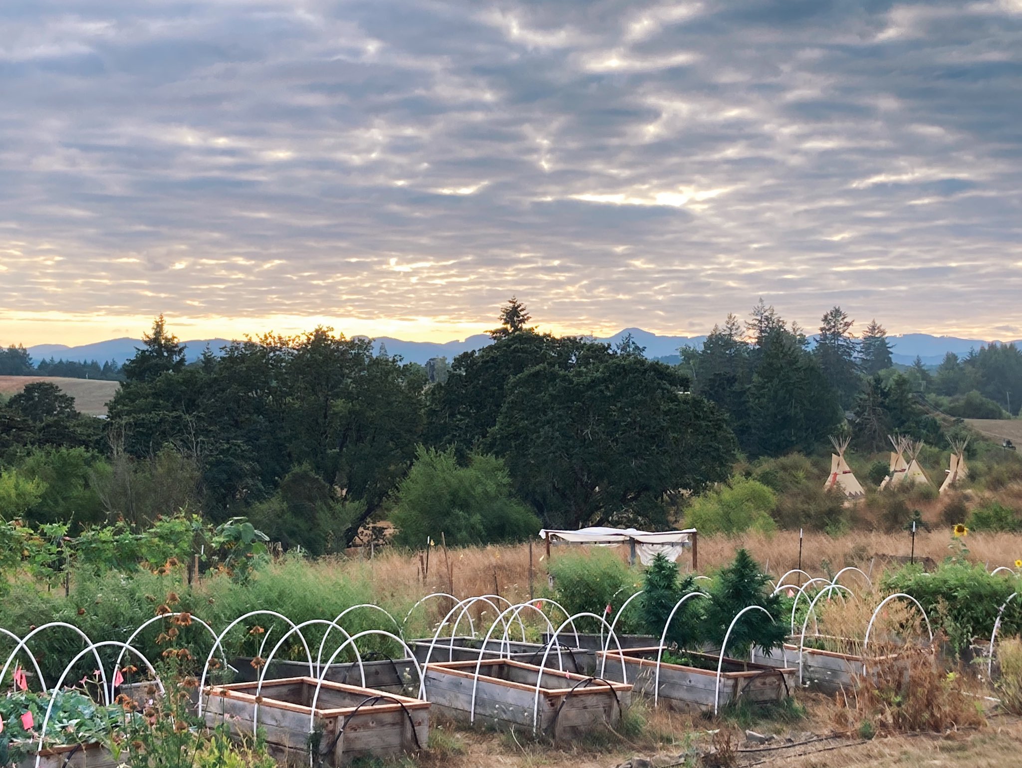 Rethinking Reconciled Relationships