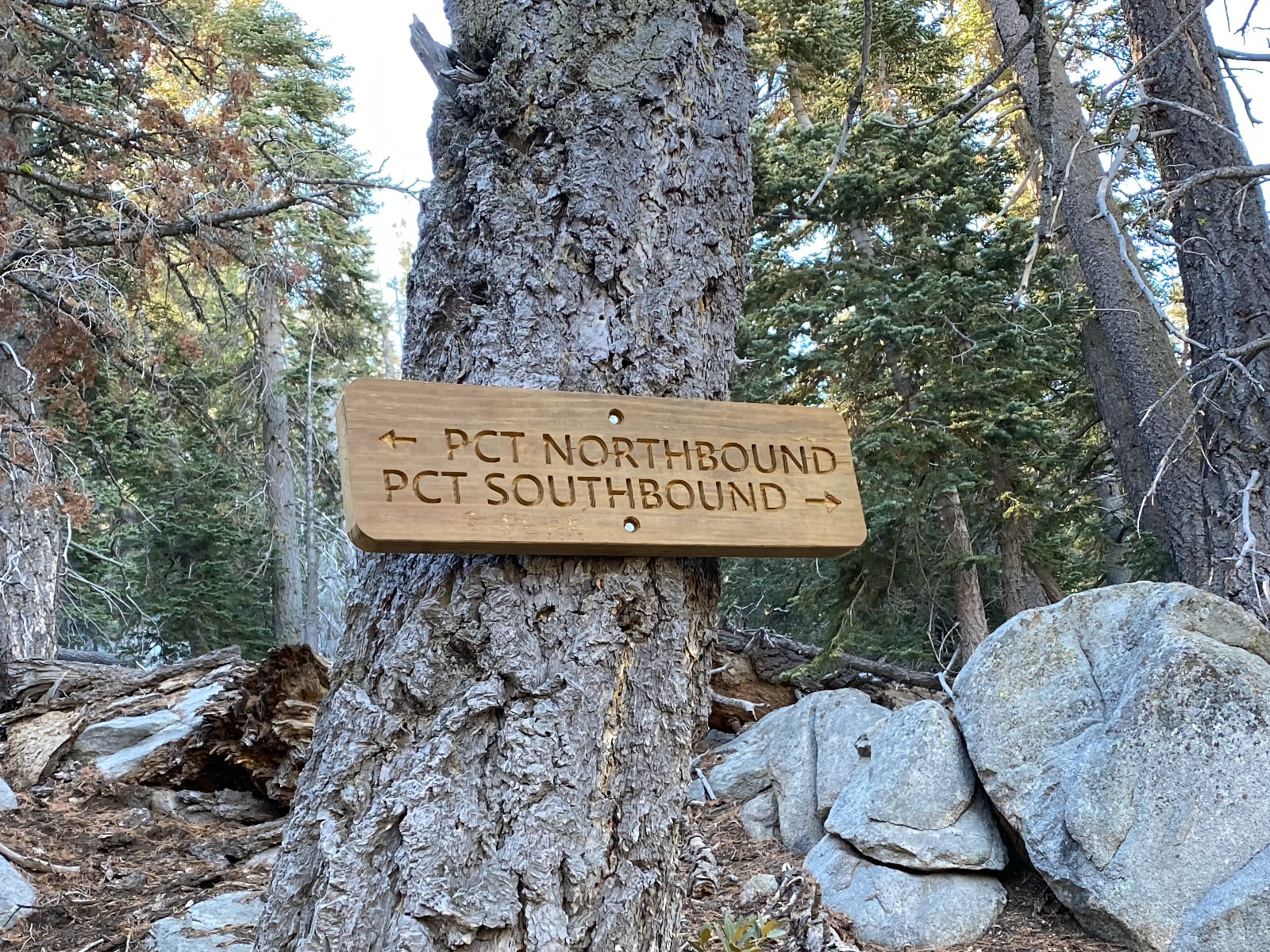 pct-sign.jpg