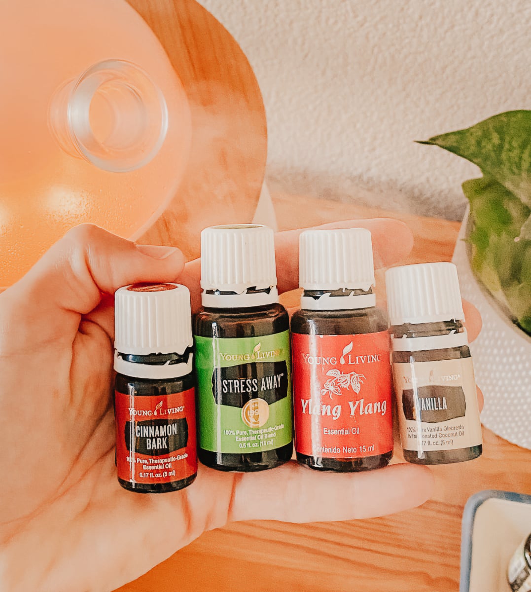 Diffuser pic.jpg