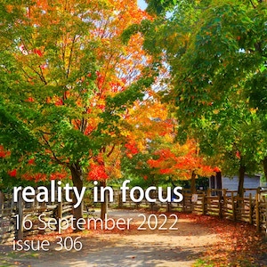 Reality in Focus issue 306