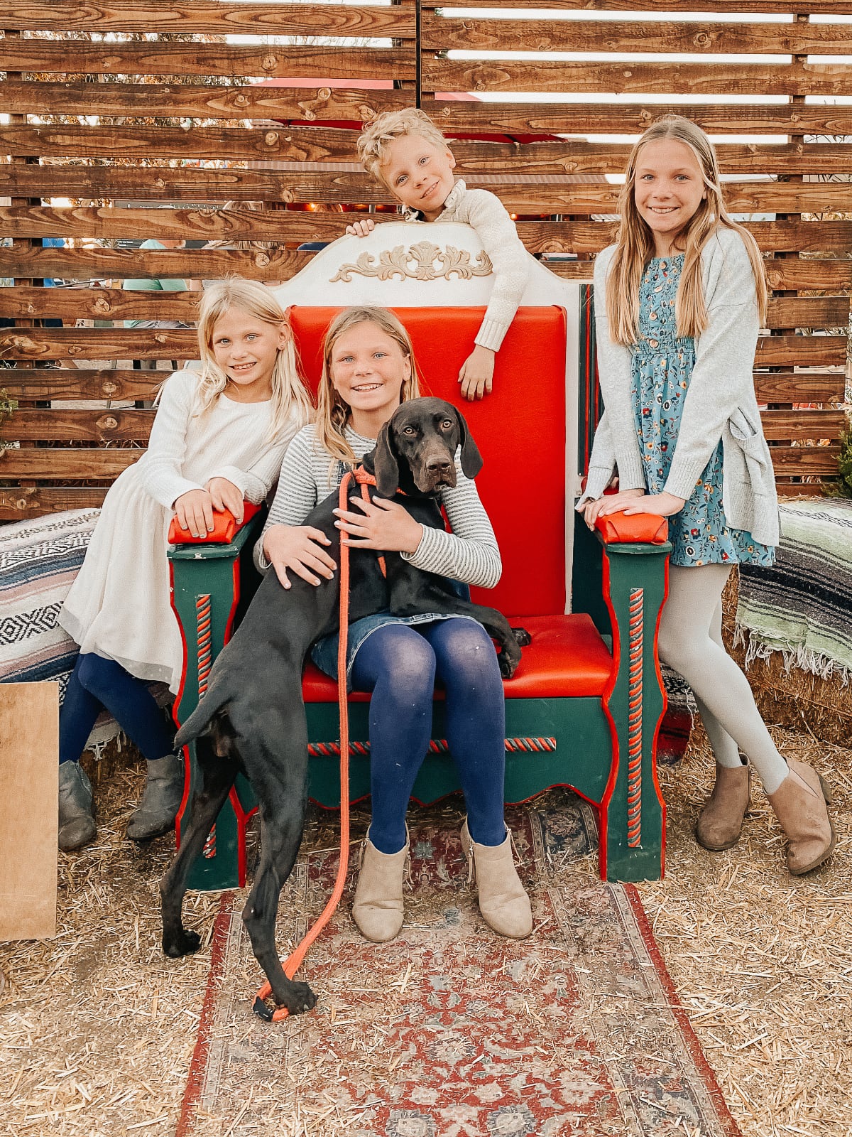 kids-dog-chair.jpg